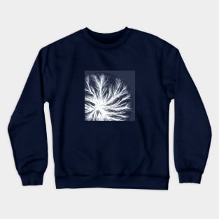 Mycelium in Petri dish (vector) Crewneck Sweatshirt